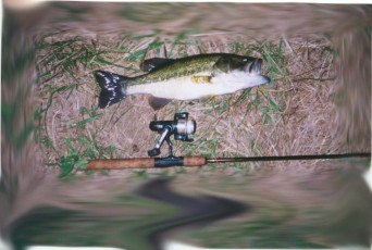 6acff366-4ade-43cd-8455-e3459c375e10