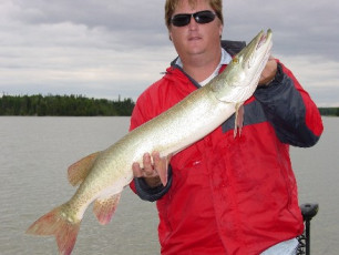 6c09aede-8e11-4819-925e-1820f555faf2