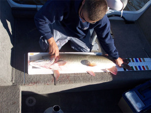 6c959bb1-a5d5-46f3-9c67-5b2ba8d87350