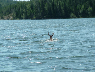 6ce08d1d-e917-4d89-85a9-97ff80e196e2