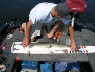 6d3ef474-a8c5-45a4-9083-b345e79d46da