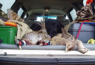 6ee4af72-184d-4d82-999b-82c071e2e181