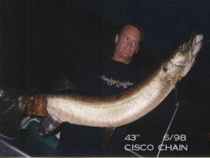 6f1b532e-2ce3-48fe-a873-68e21fdd1531