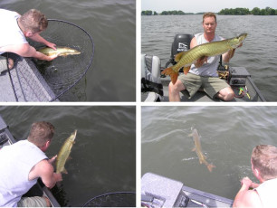 704e801a-4040-4a43-802a-9416deaa6cdb