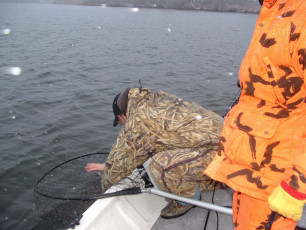 7079cd64-a016-4b49-8695-3fd747730a78