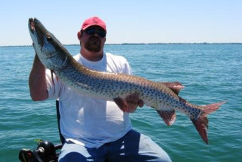 70B4E527-C2E5-4FC8-97F1-3BA2EC1E1118