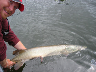 70ad8469-a146-49ca-aec5-54d29fbe9ede