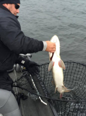 712D6AFC-67A2-4564-99DF-4E250F0226A7