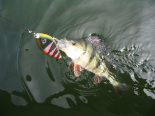 71F9BF10-15C0-44E0-8007-B1BF04F56355