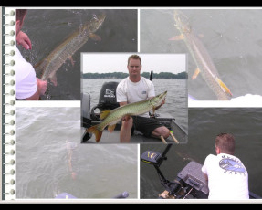 71db1596-79d7-45db-b539-828a559d4c7c