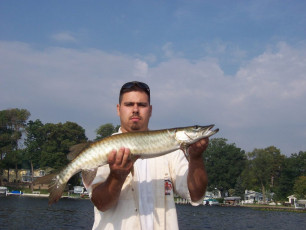 720ece50-19d0-47ab-a2c7-a468b97a70df