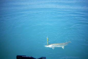 72455476-bb92-499f-9006-1946d13d58d9