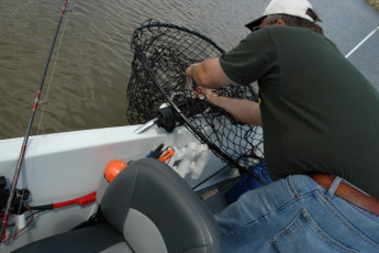 7287db34-2cd2-4161-8aa7-a15b744b1cdf