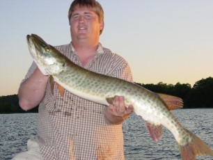 72ff283b-6b97-4e89-ae88-deb17a045367