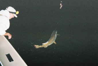 74f6fecb-cd4b-4782-b8d5-c8142517afee