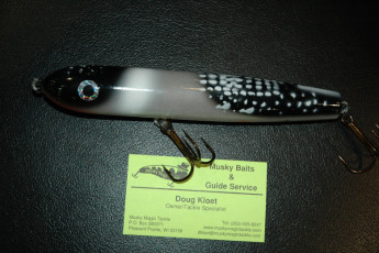 7503c8a5-e1c7-4116-82d7-8e5f5114a0bc