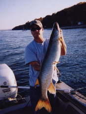 75da5428-abb6-4735-88d3-cc3c370352ee