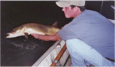 768e8f6f-ee3c-45a3-89ad-0744b6dc1d0e