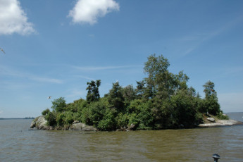 7714d633-6efd-4c71-85e8-fa31ed2f8e91