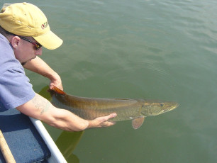 7716f8cd-6d41-49e0-a012-bf4ba4a2bbc9