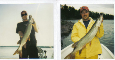 77B70469-3EB2-467A-A1B3-6A858EFD3DD1