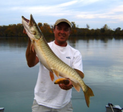 SAMSUNG DIGIMAX D530