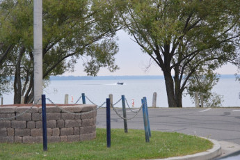 786826E1-FAF8-46D9-9296-E30BF48C3BA1