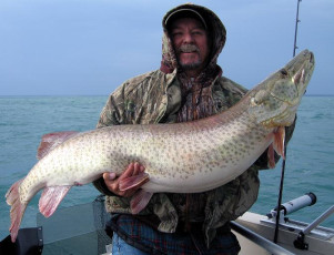 Hog, what else can you say???