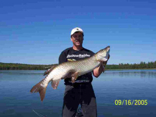 79869599-e864-46e0-b7bc-d4af402a9565