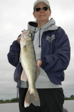 79a5c7b2-7936-432c-9e3f-28d9c9807c84