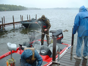 79d58e38-1b6f-4137-a2d6-f95914368837