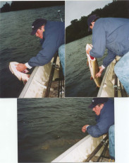 7b075529-3c62-4dd1-ad87-c3585fe6f61d