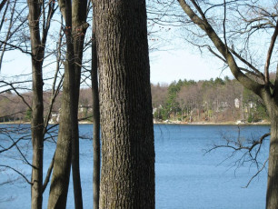 7b39d686-ee38-4a1d-b6ff-f70217636ddd