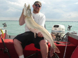 7b5e8744-068d-4e34-a97d-bbd09273e808