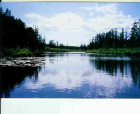 7c1b7d71-bd94-4921-88f3-b692d90971b4