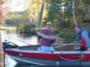 7d5b52c3-8d8d-46b8-9dbe-c67a547ed941