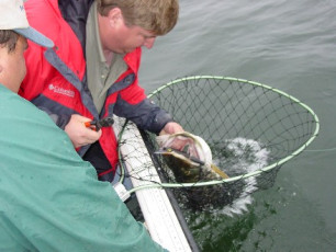 7dd7600d-f225-436d-937f-fe68e8cde76e