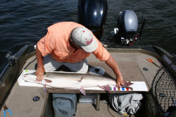 7f7fc992-374b-4dbb-9d9d-45f2aa776b97