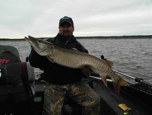 7fb2ad13-2b88-4d4e-a2c7-bc6a6102d072