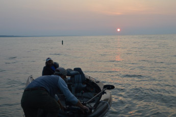 823755D6-A74D-41CC-B6D2-5A3864A512B3