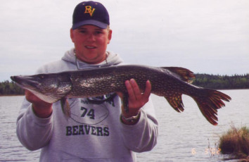 8285354d-4681-488b-9a35-313d1628efc6