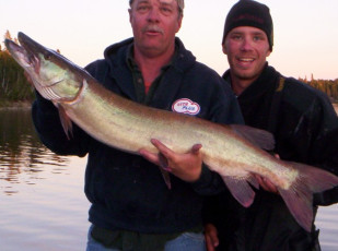 82a4e254-c93f-4aa1-856d-495877181690