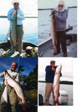 83547f74-8e4d-4250-aea9-307ac861a900