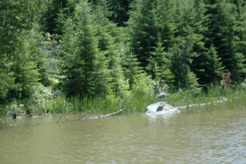 8475b263-6c97-4e1c-8a0f-4afbd58817cd