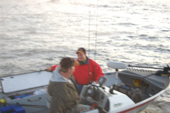 85020bd9-f8a9-48fa-89d8-18943b284ab3