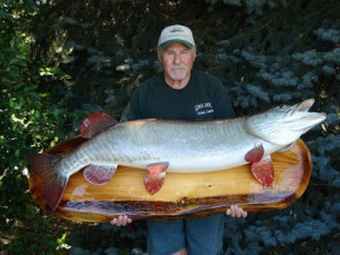 8603E190-F922-4903-A32A-63DD00EE5BEE