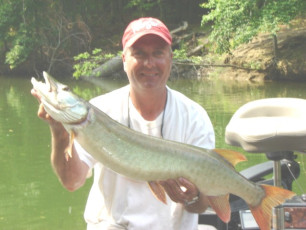 8685f89f-0a54-4644-bb69-2160ddd6b71c