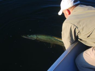 869A548B-5091-45B7-AE8A-0177ABA4FB83