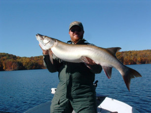 876f2533-021e-4544-9279-61ea253e22c8