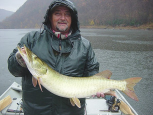 87d667dd-4ea8-4a35-be4f-b73ba2b07ff1